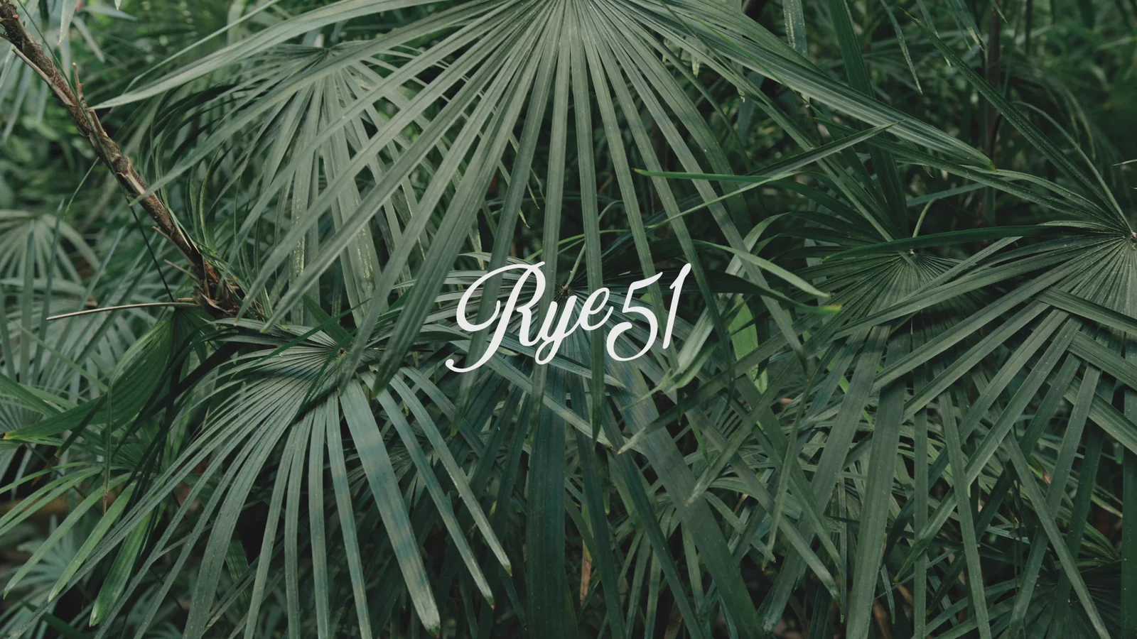 Welcome to Our Store